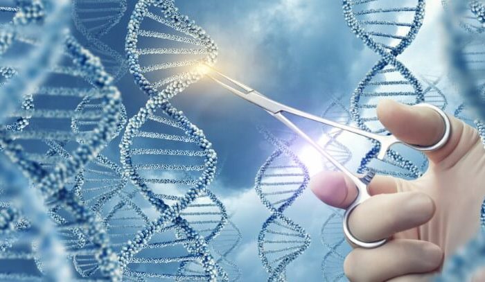 DNS un ārsta roka | Cilmes šūnu banku alianse | LYL BioBank Hearts