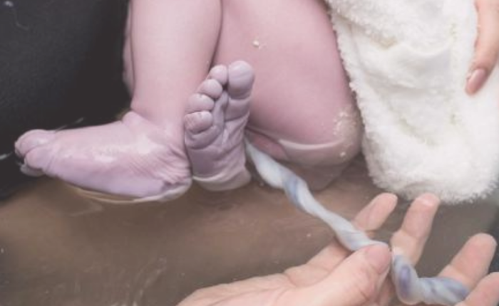 Nabassaites asins un audu cilmes šūnu izmantošana