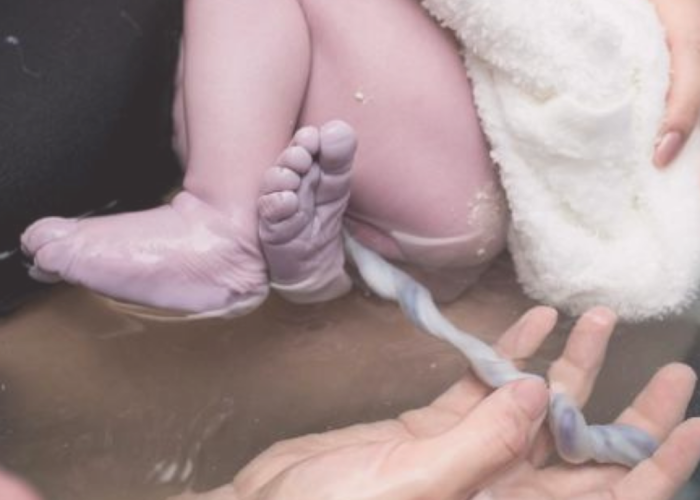 Biobank Hearts cilmes šūnu banka Nabassaites asins un audu cilmes šūnu izmantošana